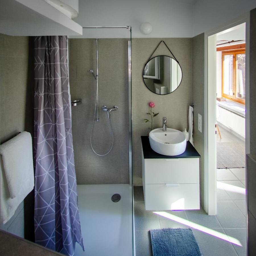 Rustico Al Sole - Just Renewed 1Bedroom Home In רונקו סופרה אסקונה מראה חיצוני תמונה